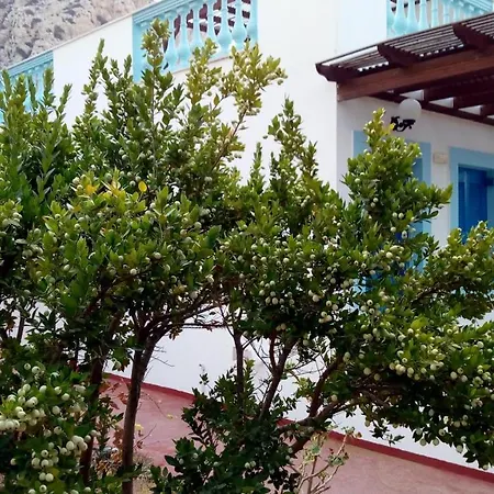 Blue Horizon Apartment Lefkos (Karpathos)