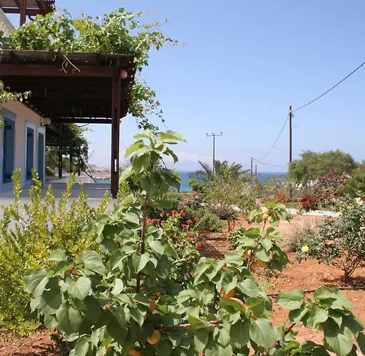Blue Horizon Lefkos (Karpathos)