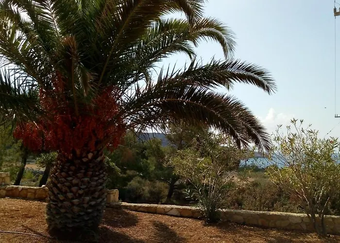 Blue Horizon Lefkos (Karpathos)